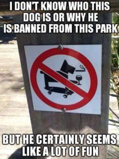  no dogs smoking drinking and skateboarding sign with the words i dont know who this dog is or why hes banned from this park but he sure does seem like a lot of fun