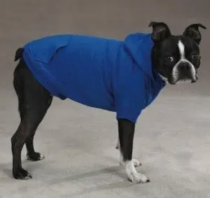 Basic Dog Hoodie