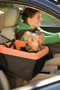 Dog Booster Seat