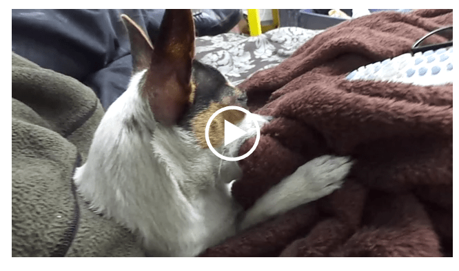Nursing on a Blanket