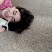 chihuahua puppy playing with girl on floor