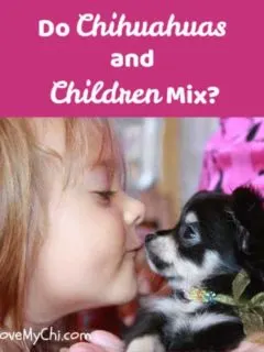 little girl kissing a chihuahua