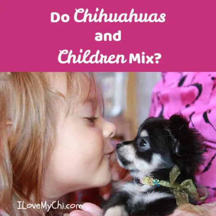 little girl kissing a chihuahua