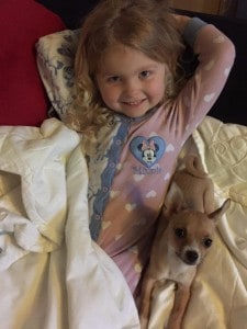 Child with Chihuahua