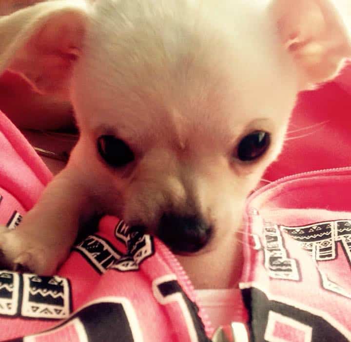 Pebbles mom is Andria Beitel‎