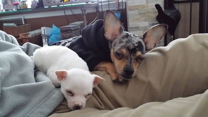 Connie Finnegan‎ is the mom