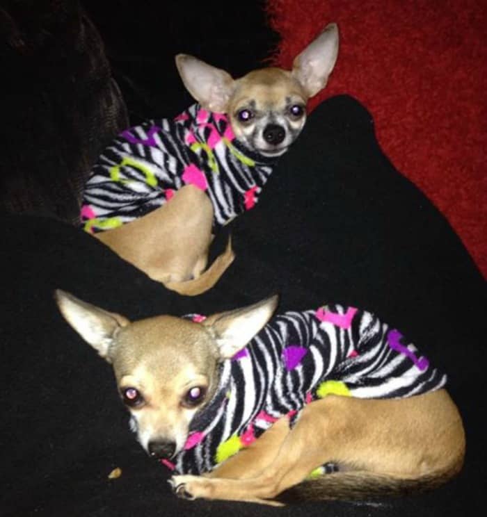 Ava and Fanci, mom is Judy Ferstler Chaney‎