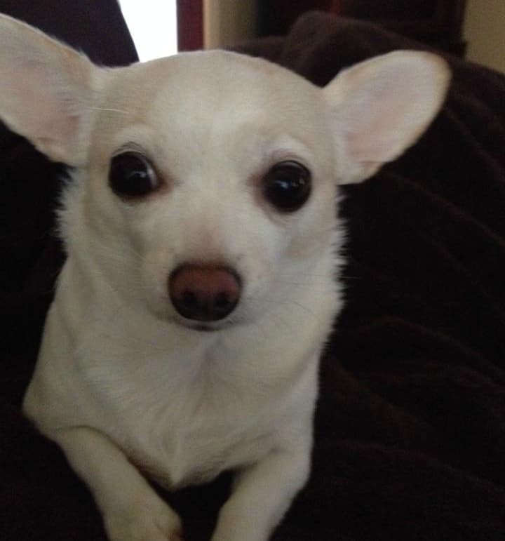 Miss Beverly mom is Lynnette Petito Esposito‎