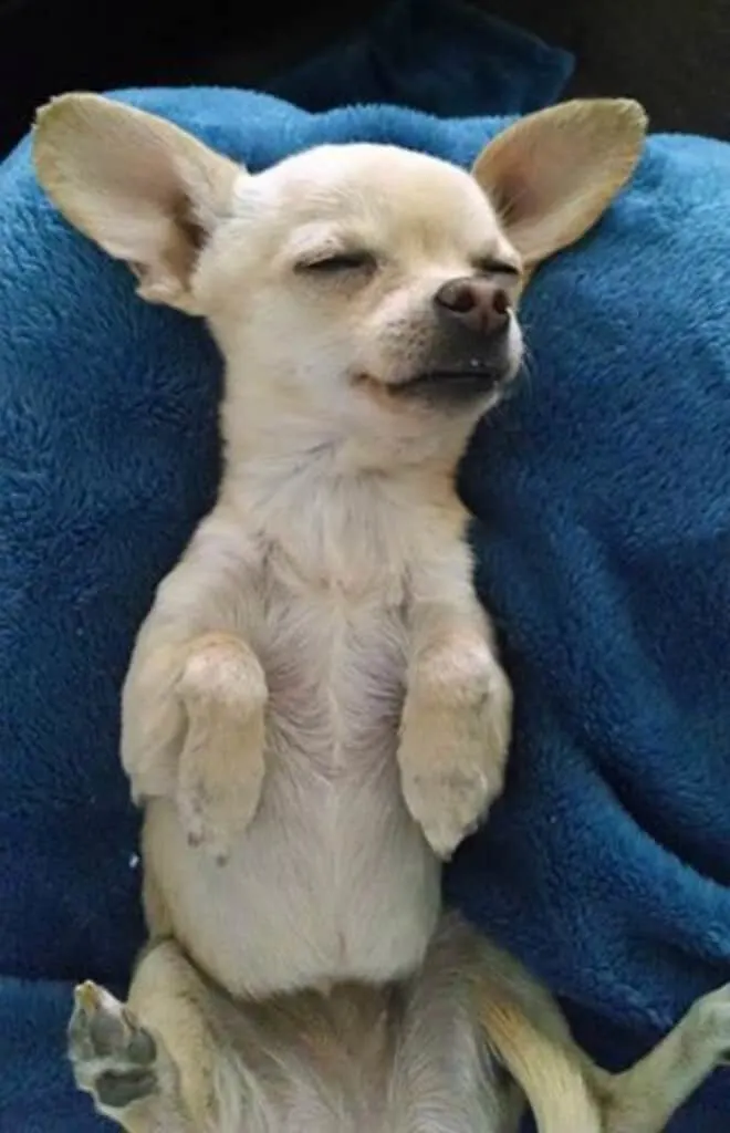 relaxed chi