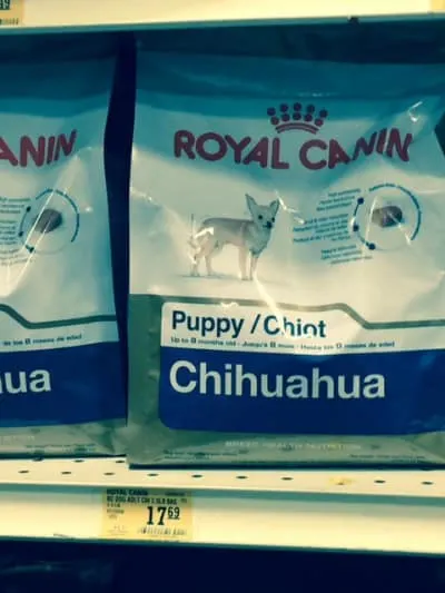 Royal Canin Chihuahua puppy food