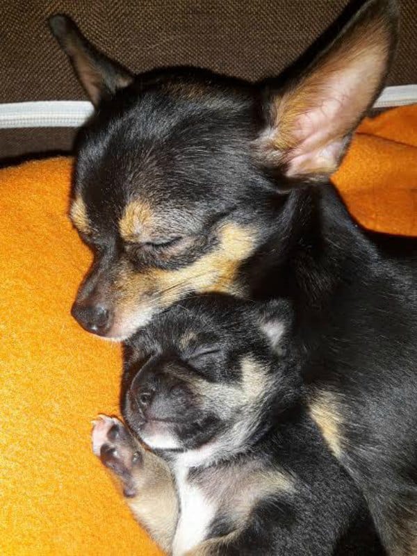 Mother and baby Ruby and Floyd mom Erika Molnárová