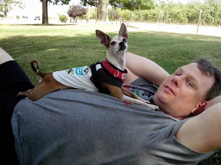 Skippy the Chihuahua and dad