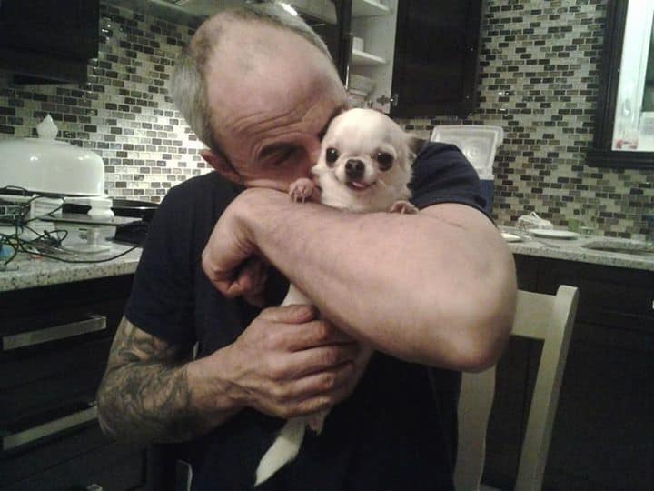 Chihuahua and dad