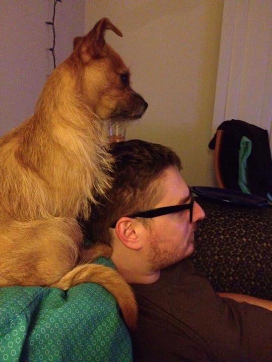 Ginger the Chihuahua and dad