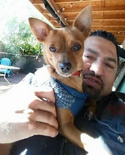 Millie the Chihuahua and her dad