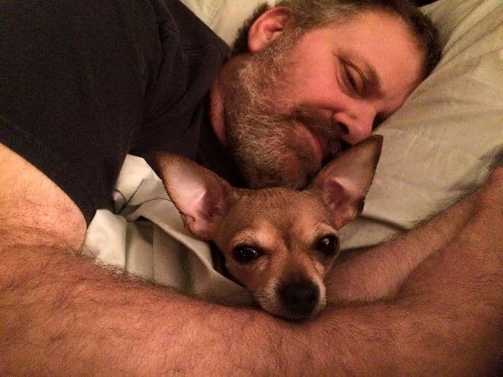 Chihuahua and father