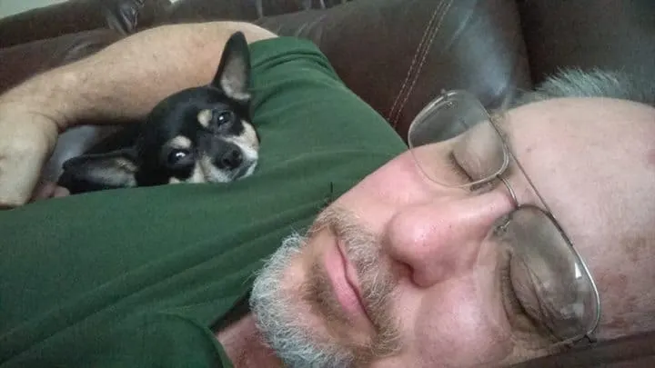 Mickey the Chihuahua and dad