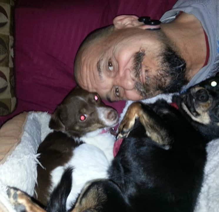 dad with 2 Chihuahuas