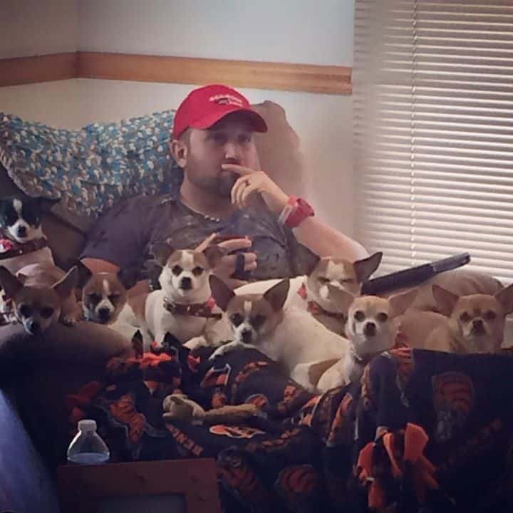 8 Chihuahuas and their father