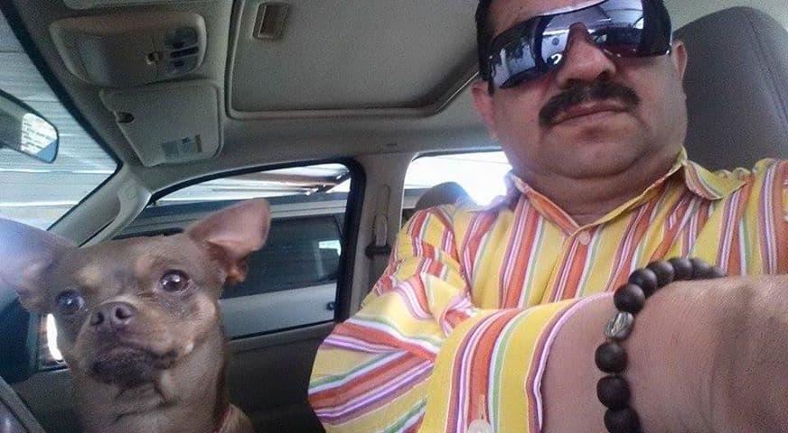 Shelsea the Chihuahua with dad