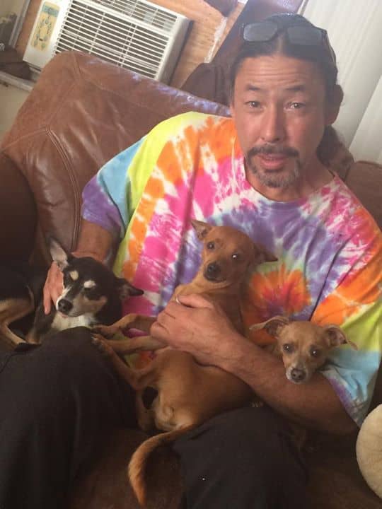 3 Chihuahuas with their dad