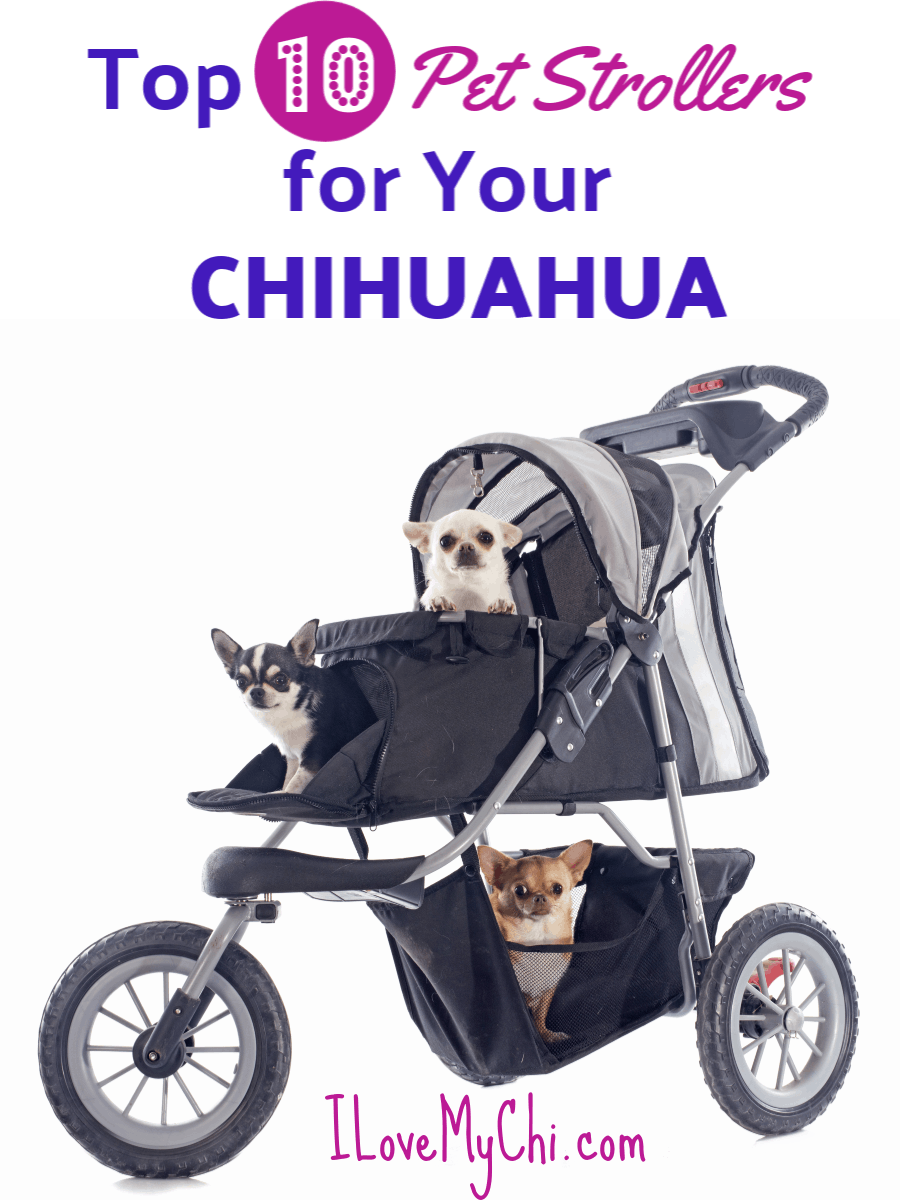 4 Wheel Folding Luxury Dog Stroller Cat Traveling Strolling Cart  Black/Silver