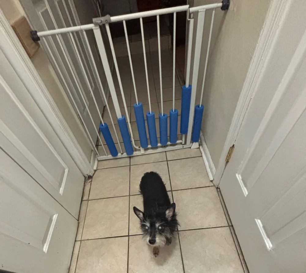 Lucas in front of gate.