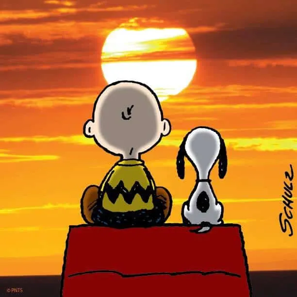 charlie brown and snoopy watching the sunset