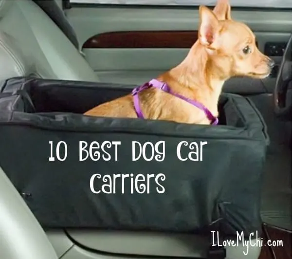 Best Dog Car Seat Belt