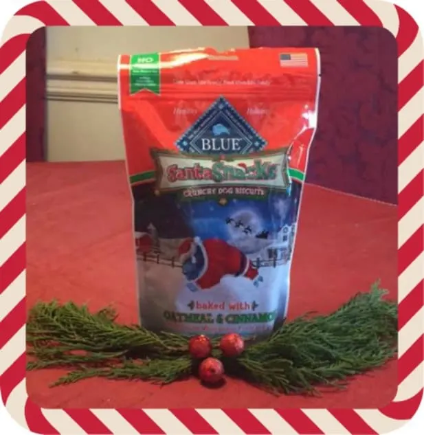 Blue Santa Snacks