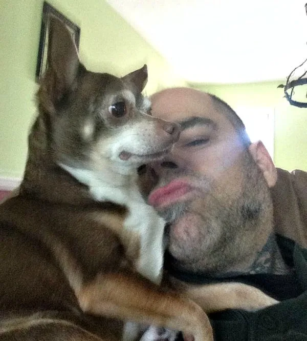 Spike the Chihuahua with his dad