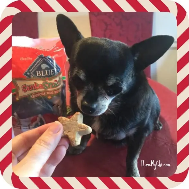 Kilo trying Blue Santa Snacks