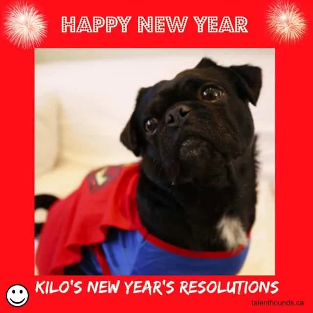 Happy-New-Year-from-Kilo-640x640