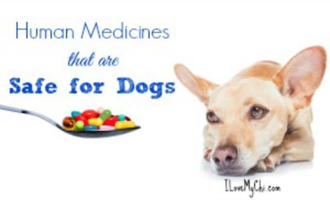 robitussin for dogs