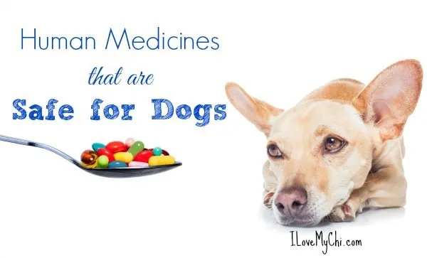 how much imodium can i give my 15 pound dog