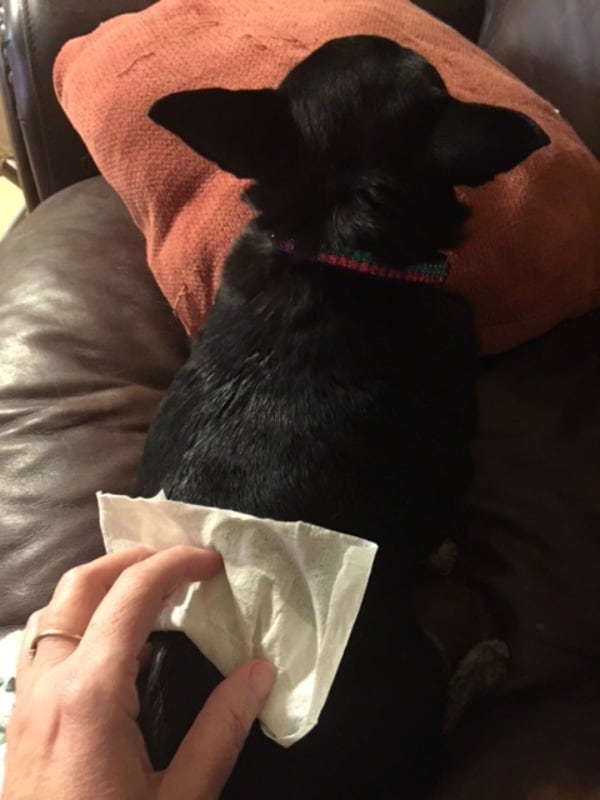 Kilo trying Bayer ExpertCare Skin cleansing wipes