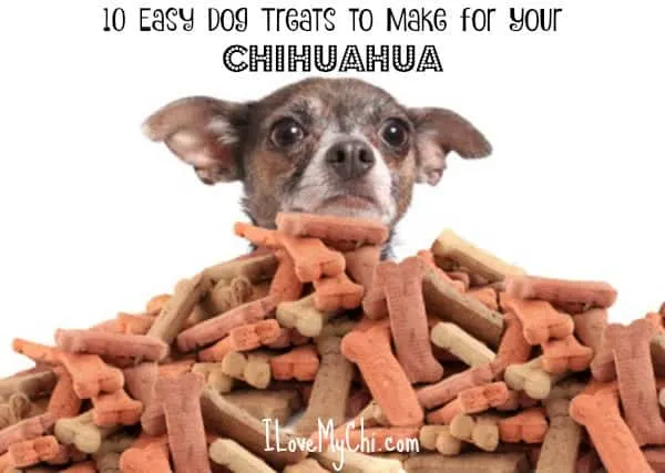 10 Easy Dog Treats to Make for Your Chihuahua I Love My Chi