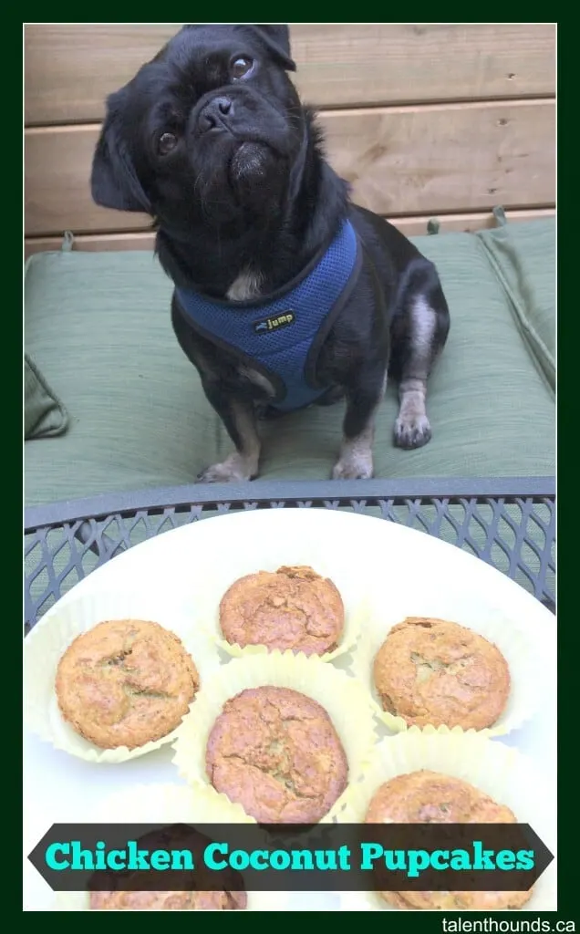 Chicken Coconut Pupcakes