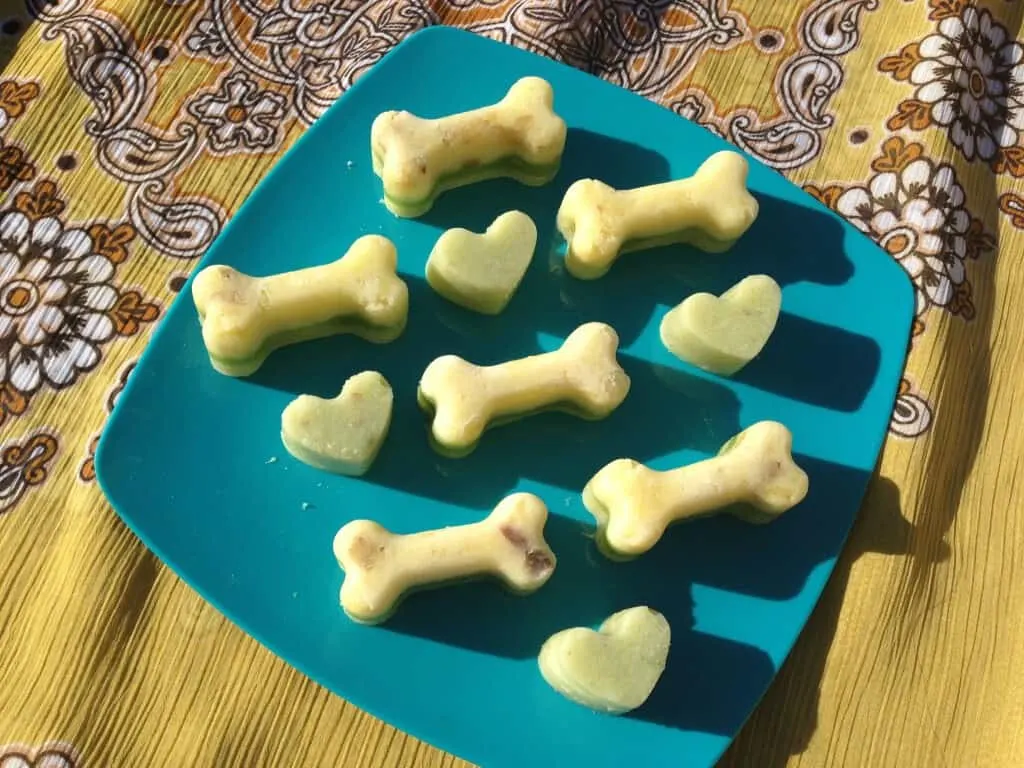 Leftover Love Frozen Dog Treats