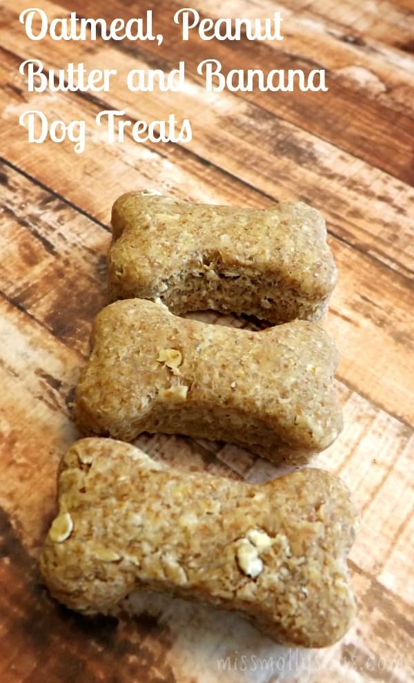 Oatmeal-Peanut-Butter-Banana-Dog-Treats