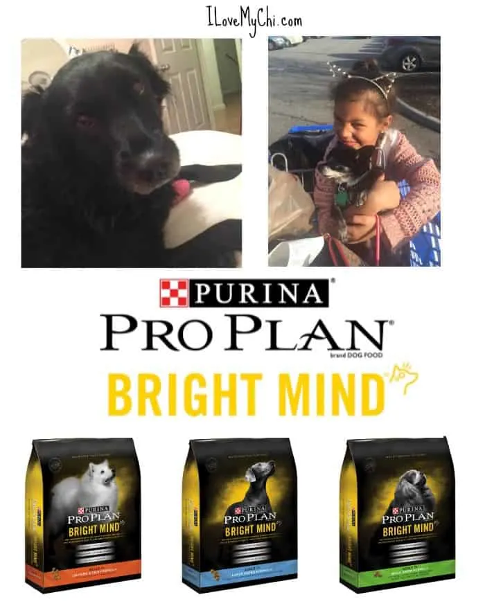 Purina Pro Plan Bright Mind