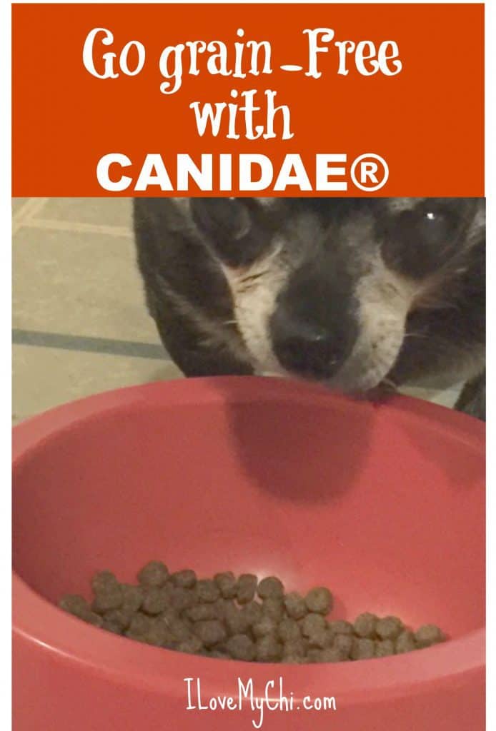 CANIDAE PURE