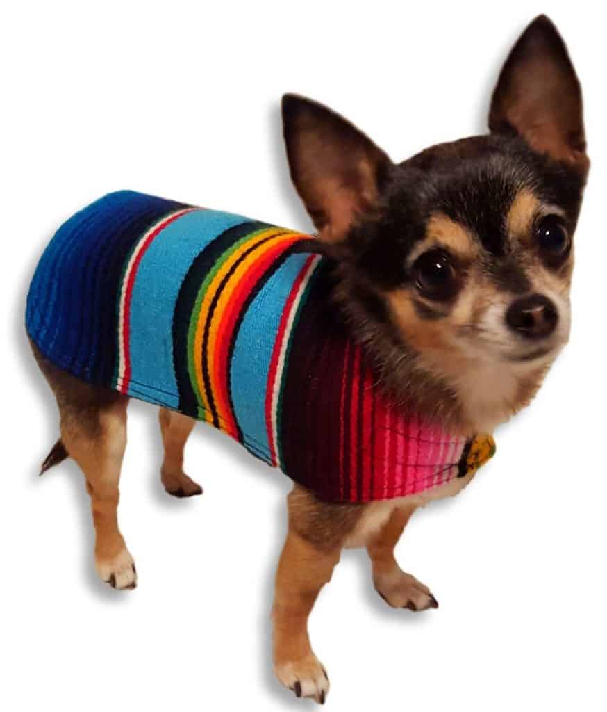 Dog Clothes - Handmade Dog Poncho from Authentic Mexican Blanket by Baja Ponchos