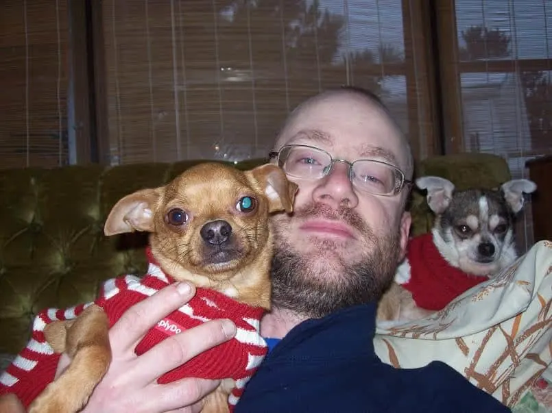 man in glasses with 2 chihuahuas on either side of his head
