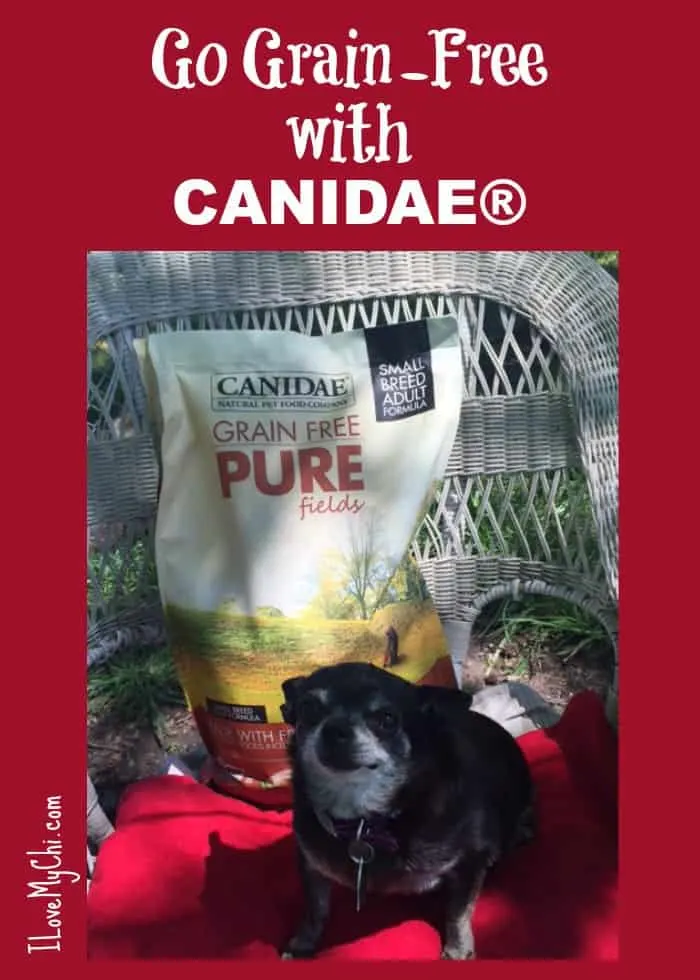 Go Grain Free wirh Canidae