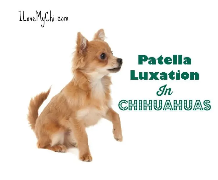 how much does luxating patella surgery cost for a dog