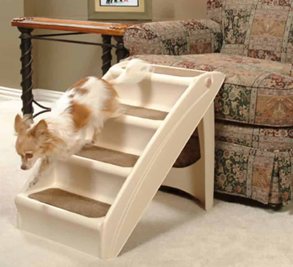 Stairs for small store dogs