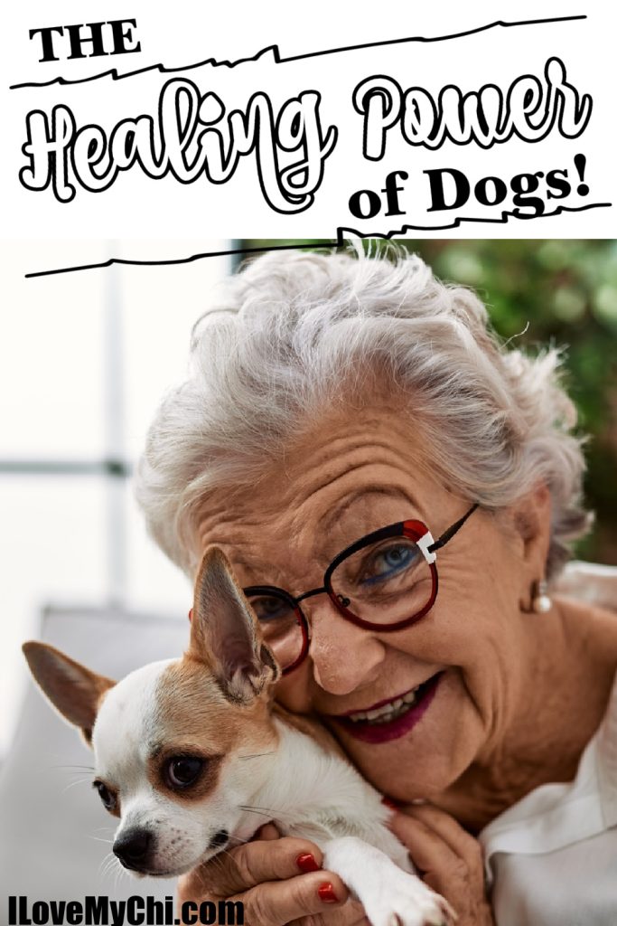 Smiling elderly woman hugging a Chihuahua.