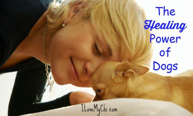 Woman nuzzling chihuahua.