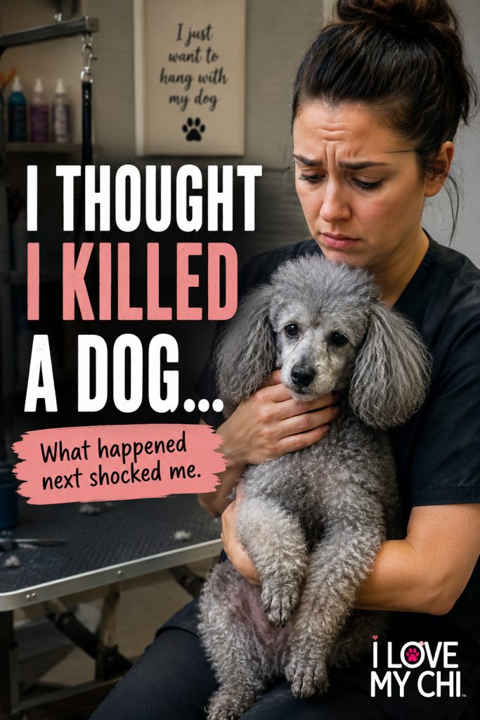 Pinterest graphic showing a worried dog groomer holding an elderly gray poodle in a grooming salon. Large text reads, "I Thought I Killed a Dog... What Happened Next Shocked Me." The I Love My Chi logo appears in the bottom right corner.